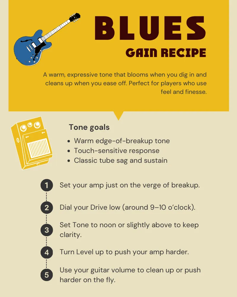 Infographic showing blues gain pedal recipe with warm breakup, touch sensitivity, and classic amp sag tone goals. 